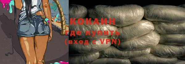 СК Сафоново