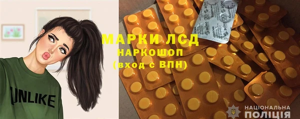 индика Богданович