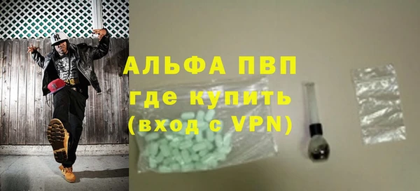 стафф Арсеньев