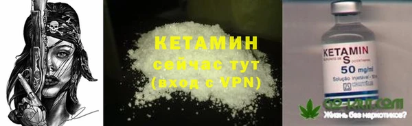 сатива Россошь