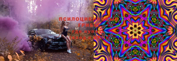 сатива Россошь