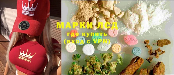 стафф Арсеньев